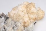 Cave Calcite (Aragonite} Formation - Morocco #202849-1